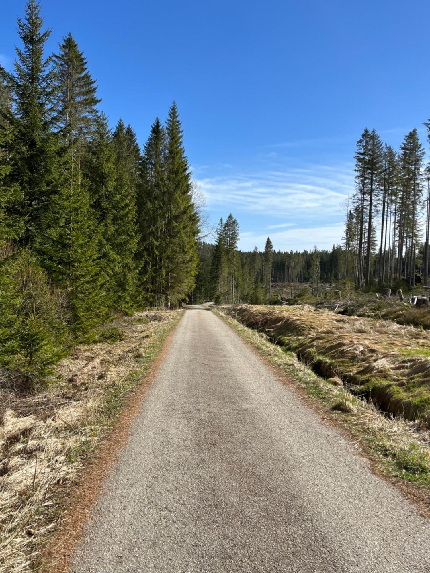 Apartmany Pernek Horní Planá Exteriér fotografie